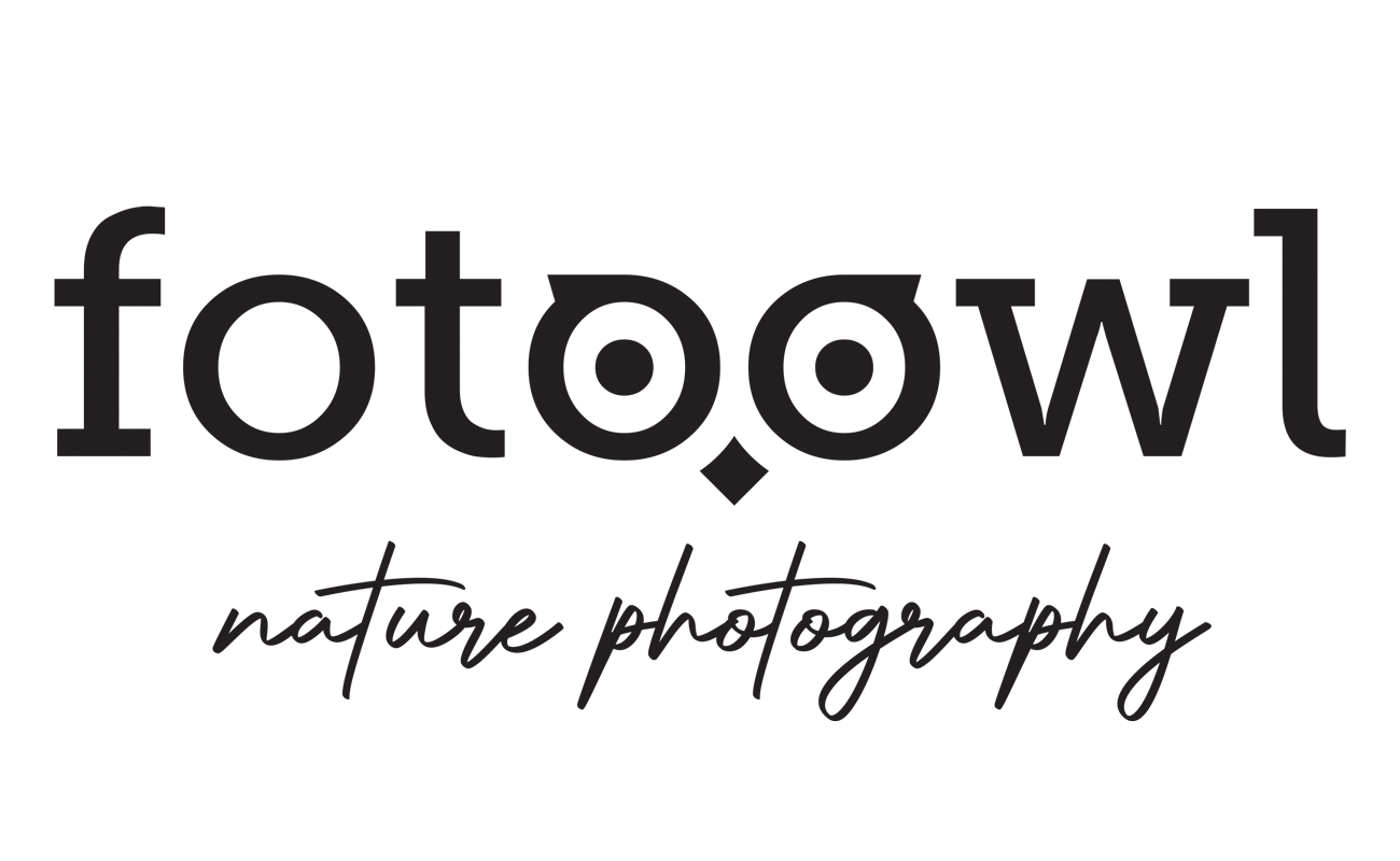 FotoOwl logo with slogan.