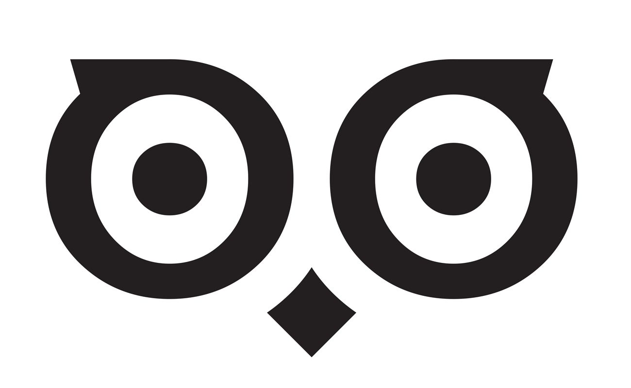 FotoOwl owl symbol.